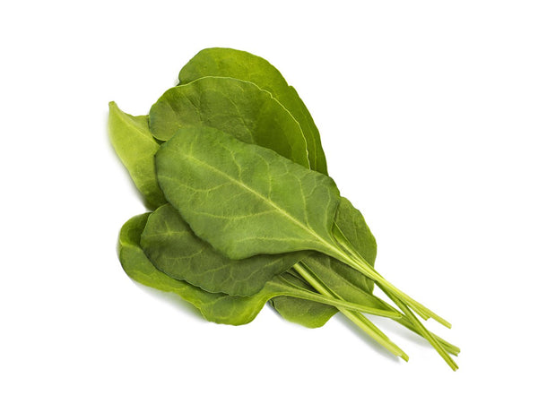 Green Chard Plant Pods 9-pack