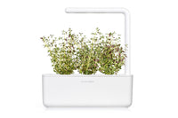 Thyme Plant Pods 9-pack / Thyme Plant Pods 9-pack