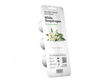 White Snapdragon Plant Pods 3-pack
