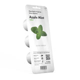 Apple Mint Plant Pods 3-pack