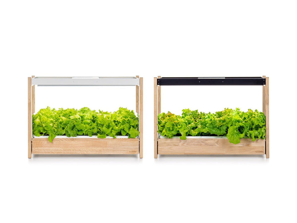 The Click & Grow 25 Subscription / The Click & Grow 25 Subscription