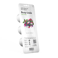Busy Lizzie Plant Pods / Busy Lizzie Plant Pods
