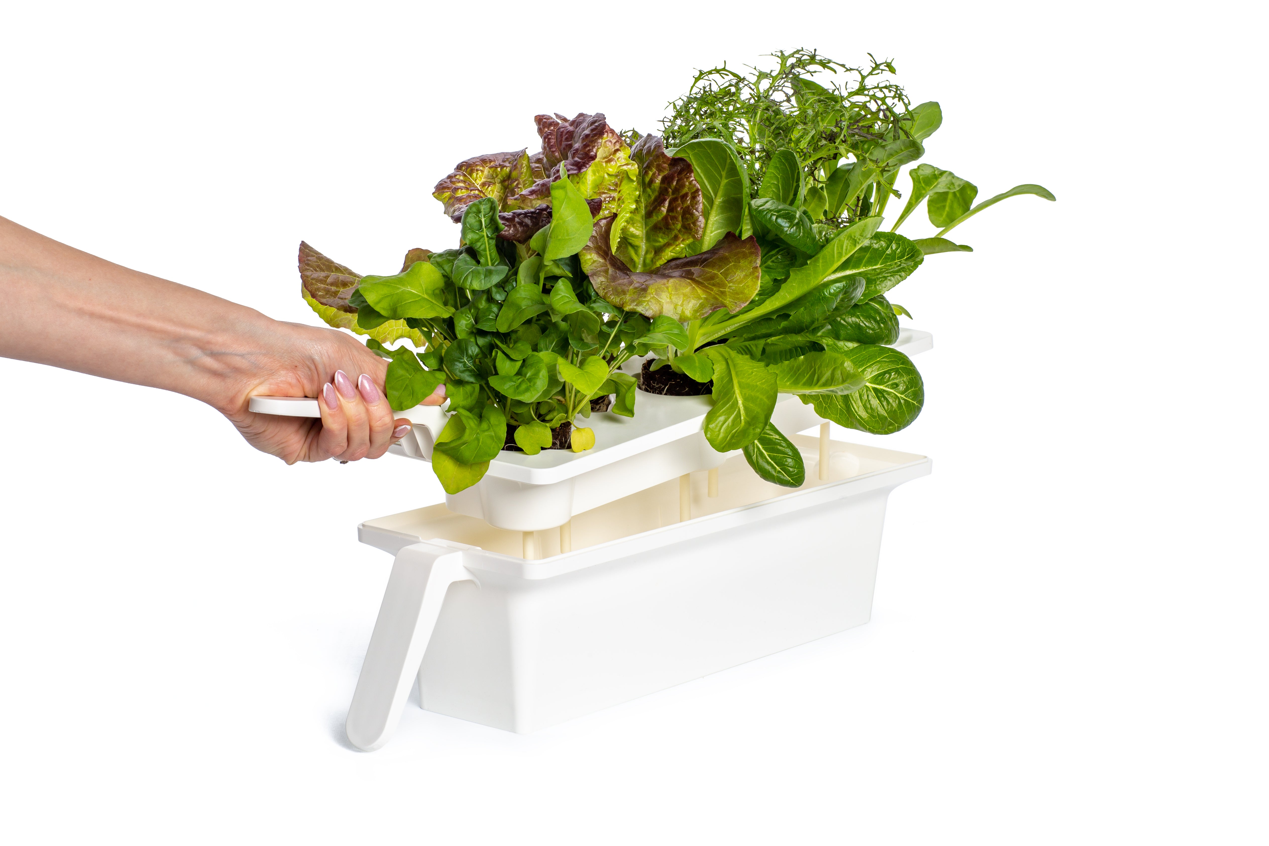 The Click Grow 25 Indoor garden for healthy fresh home grown