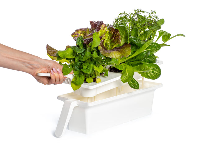 Tray Holder for Click & Grow 25