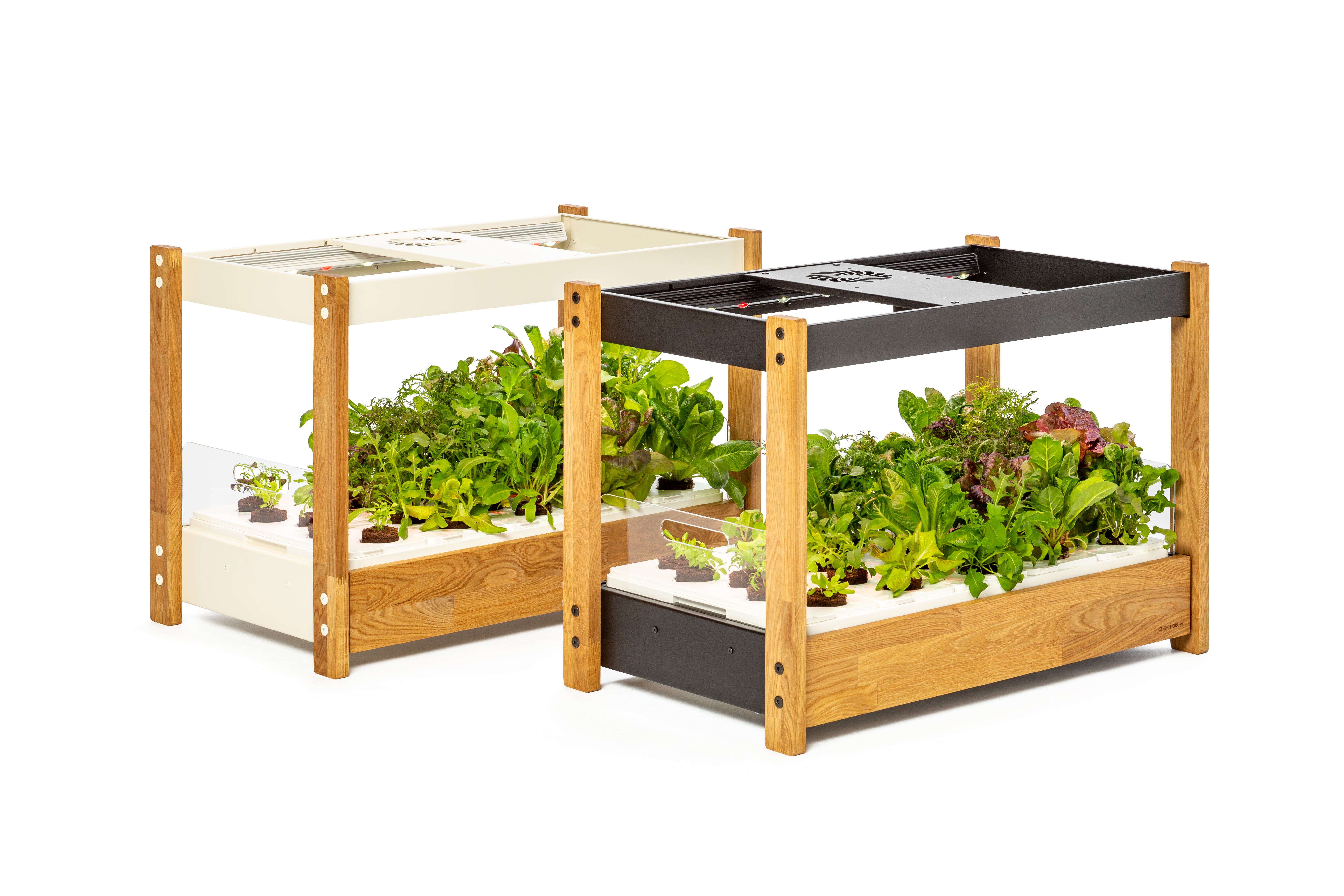 The Click Grow 25 Indoor garden for healthy fresh home grown