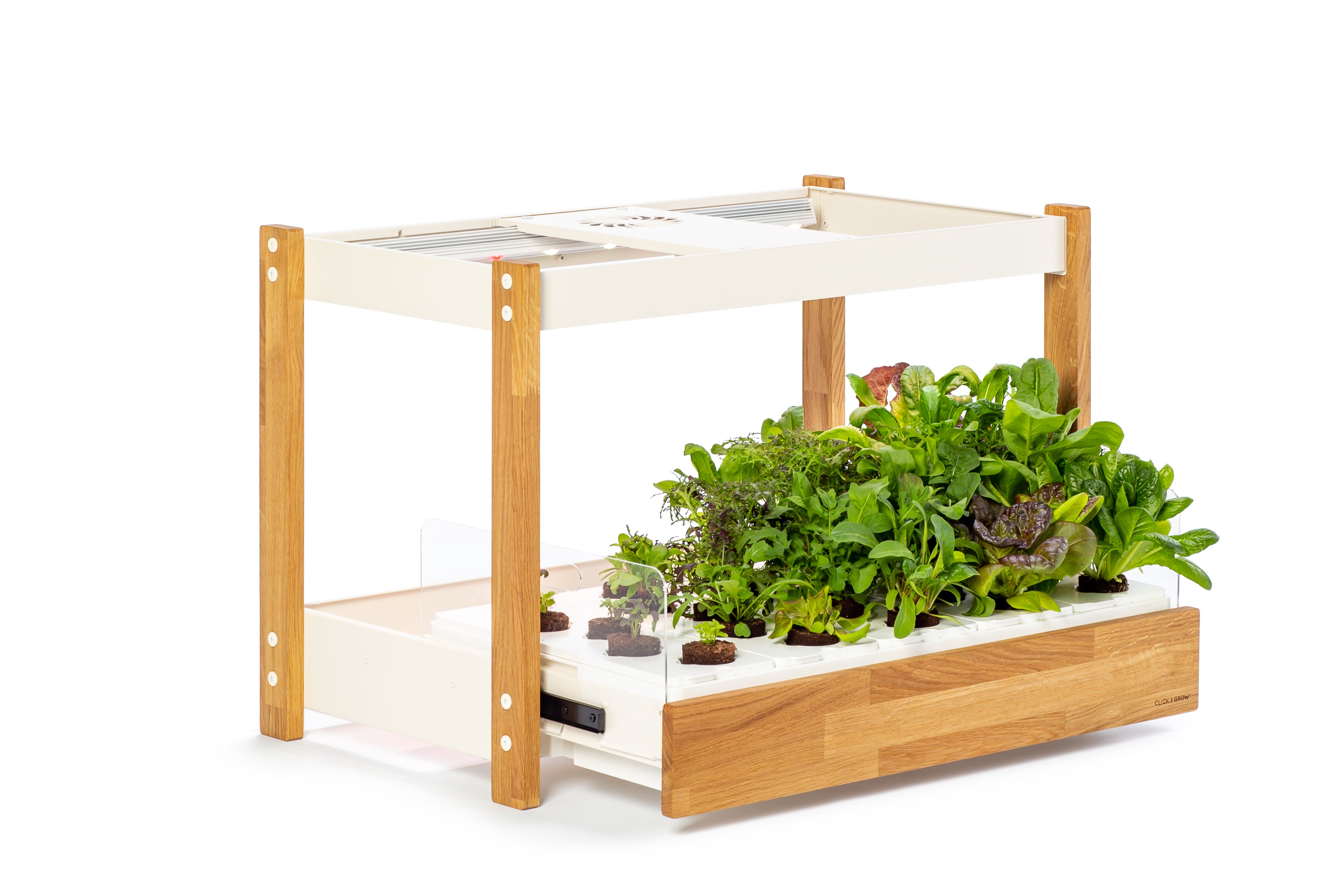 The Click Grow 25 Indoor garden for healthy fresh home grown