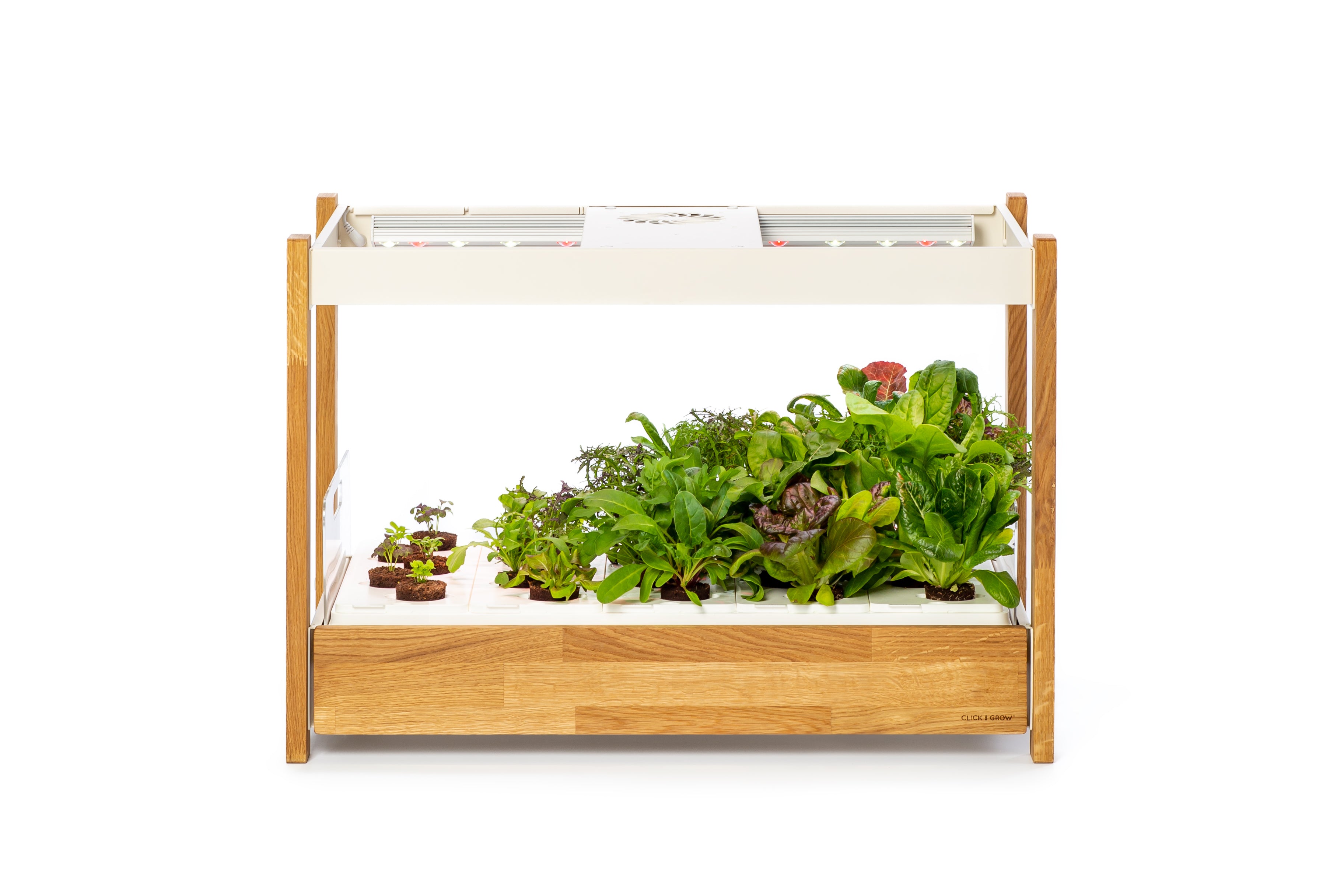 The Click Grow 25 Indoor garden for healthy fresh home grown