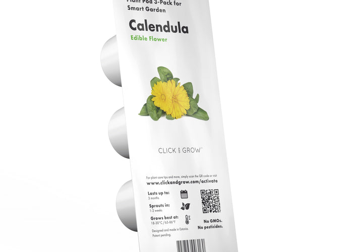 Calendula Plant Pods - 3-pack
