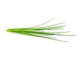 Chives Plant Pods 3-pack