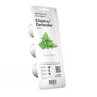 Cilantro (Coriander) Plant Pods / Cilantro (Coriander) Plant Pods