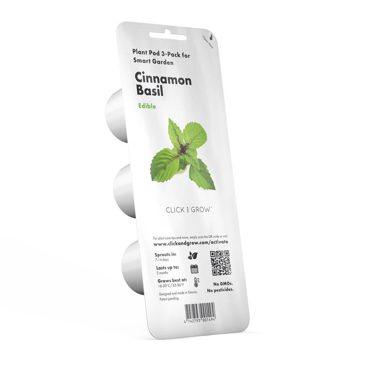 Cinnamon Basil Plant Pods / Cinnamon Basil Plant Pods