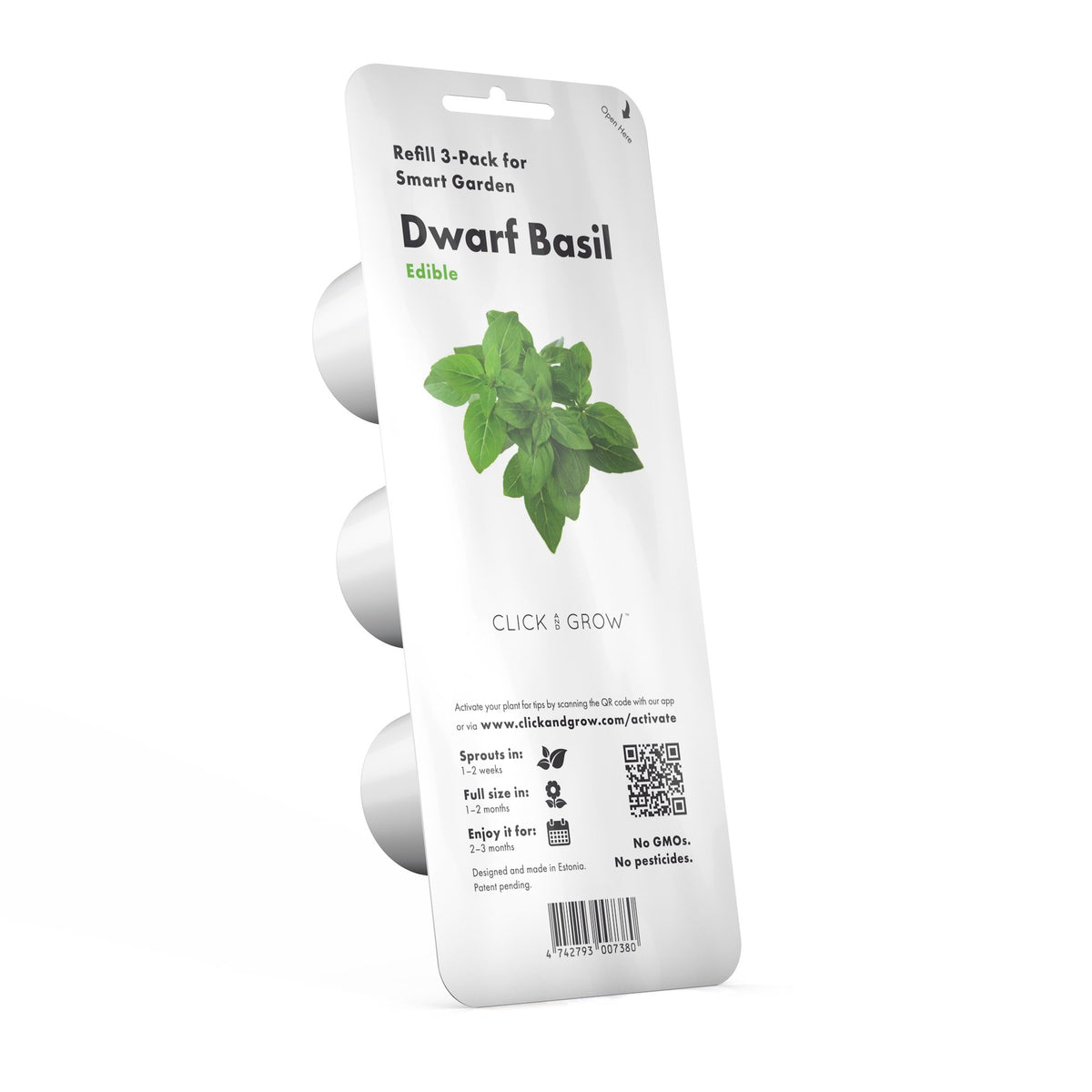 Dwarf Basil Plant Pods / Dwarf Basil Plant Pods