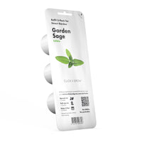 Garden Sage Refill / Garden Sage Refill