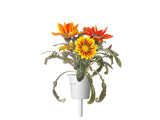 Gazania Plant Pods 3-pack