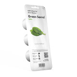 Green Sorrel Plant Pods 3-pack
