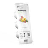 Moss Rose Plant Pods 3-pack