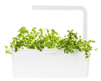 Oregano Refill / Oregano Refill
