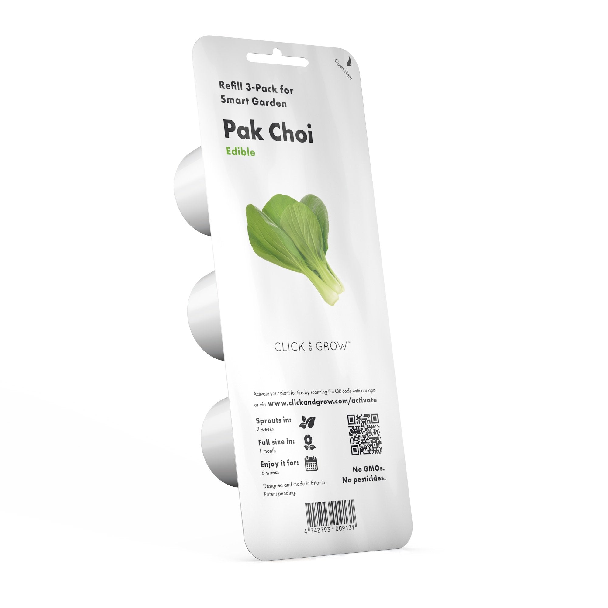 Pak Choi Plant Pods Click Grow Click Grow UK