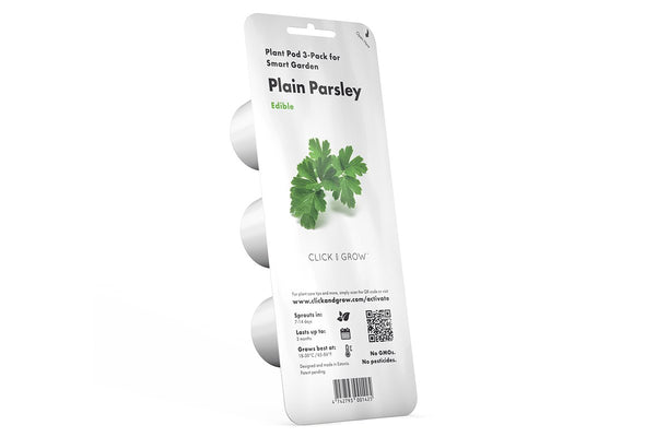 Plain Parsley Plant Pods