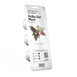 Polka Dot Flower Plant Pods 3-pack