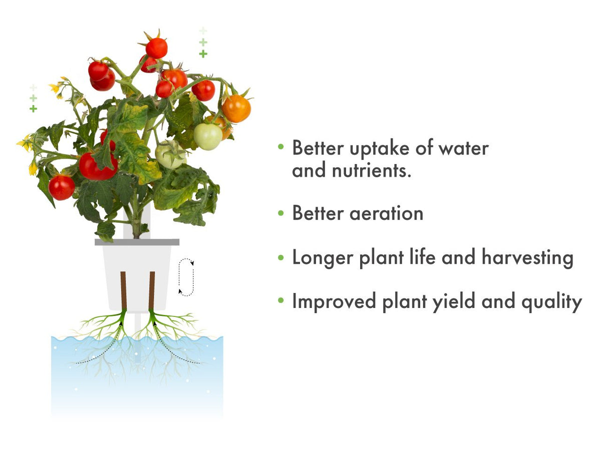 Pro Plant Cups perforated cups for increased yield 9 pcs