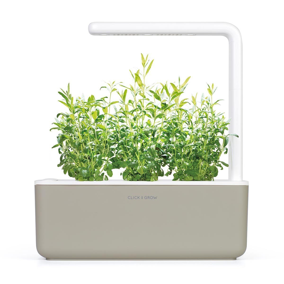 Hyssop Refill / Hyssop Refill