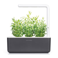 Hyssop Refill / Hyssop Refill