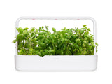 Apple Mint Plant Pods 3-pack