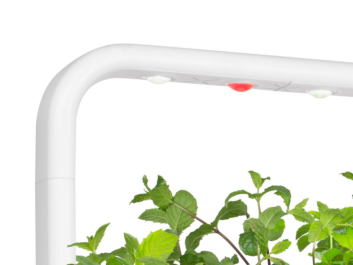 The Smart Garden 9 Lamp / The Smart Garden 9 Lamp