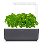 Grow basil at home with an indoor garden by Click & Grow. The best plant growing kit out there!