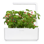 Grow strawberries at home with an indoor garden by Click & Grow. The best plant growing kit out there!