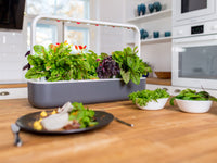 The Smart Garden 9 / The Smart Garden 9