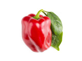 Red Sweet Pepper Plant Pods 3-pack