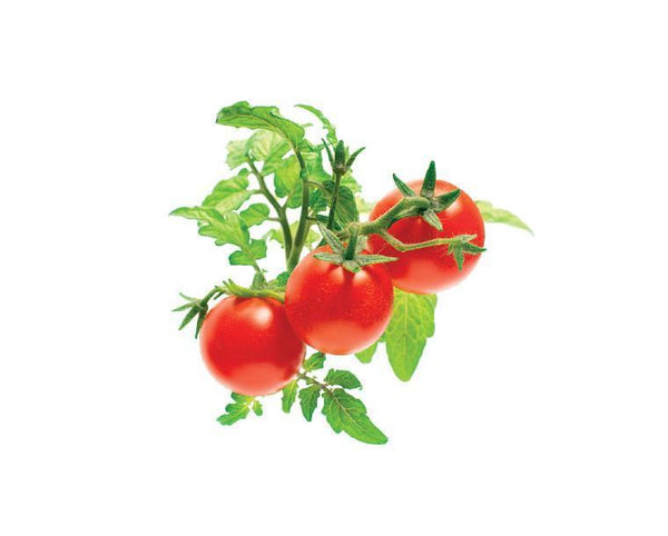 Mini Tomato Refill