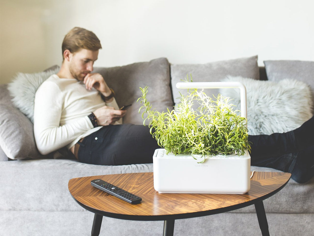 Grow herbs all year round with a smart indoor garden. Grow fresh basil, fresh cilantro and many more with the Click & Grow plant growing kit called the smart indoor garden. The best gift for plant lover!