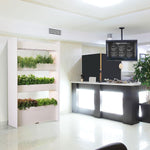 The Click Grow Wall Farm Indoor Vertical Garden Click Grow