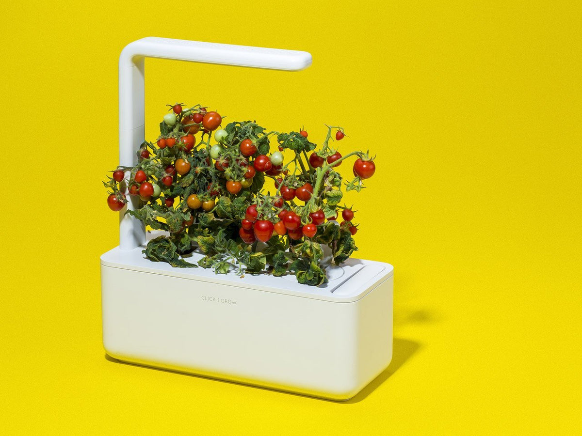 The Smart Garden 3 / Grow herbs all year round with a smart indoor garden. Grow fresh basil, fresh cilantro and many more with the Click & Grow plant growing kit called the smart indoor garden. The best gift for plant lover!