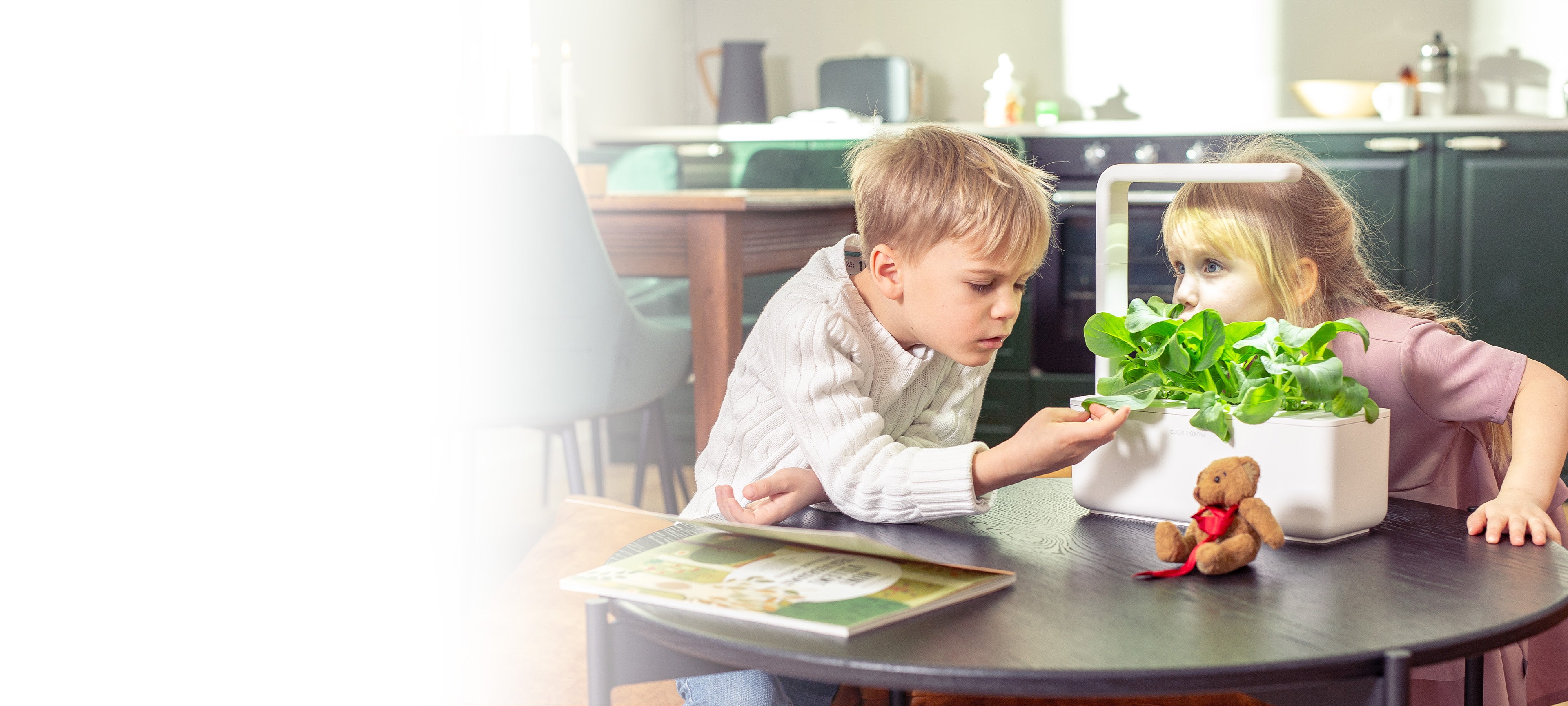 Invest in your health with an indoor garden.