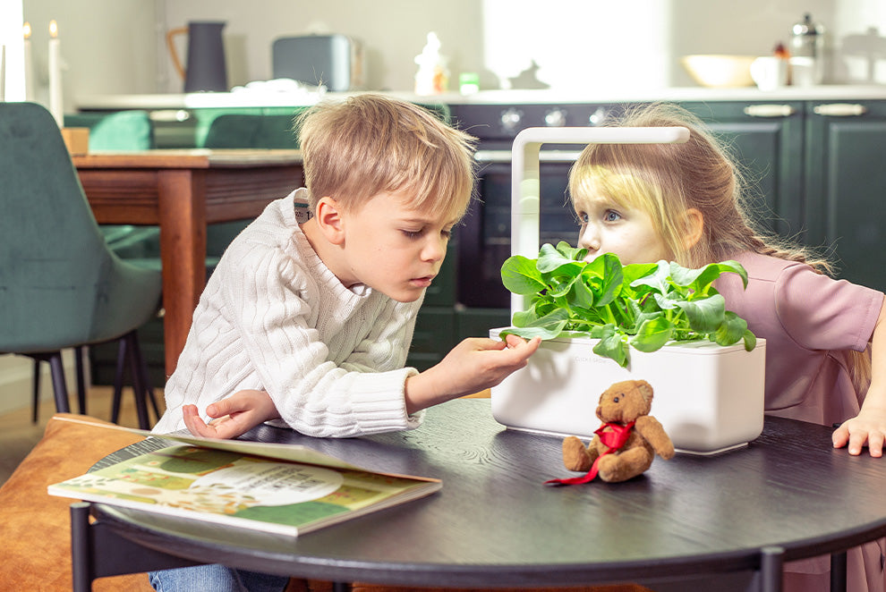 Invest in your health with an indoor garden.