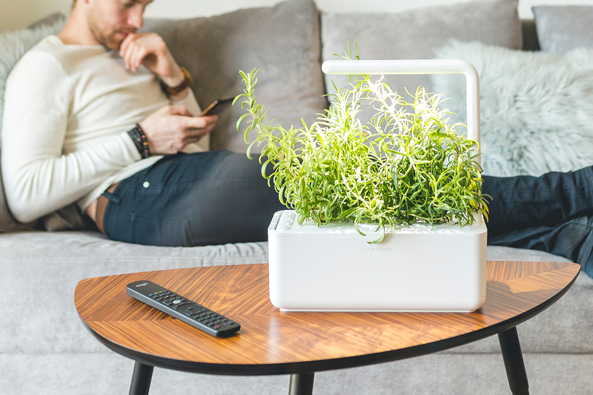 Subscription plan allows you to always have your favorite plants ready to grow