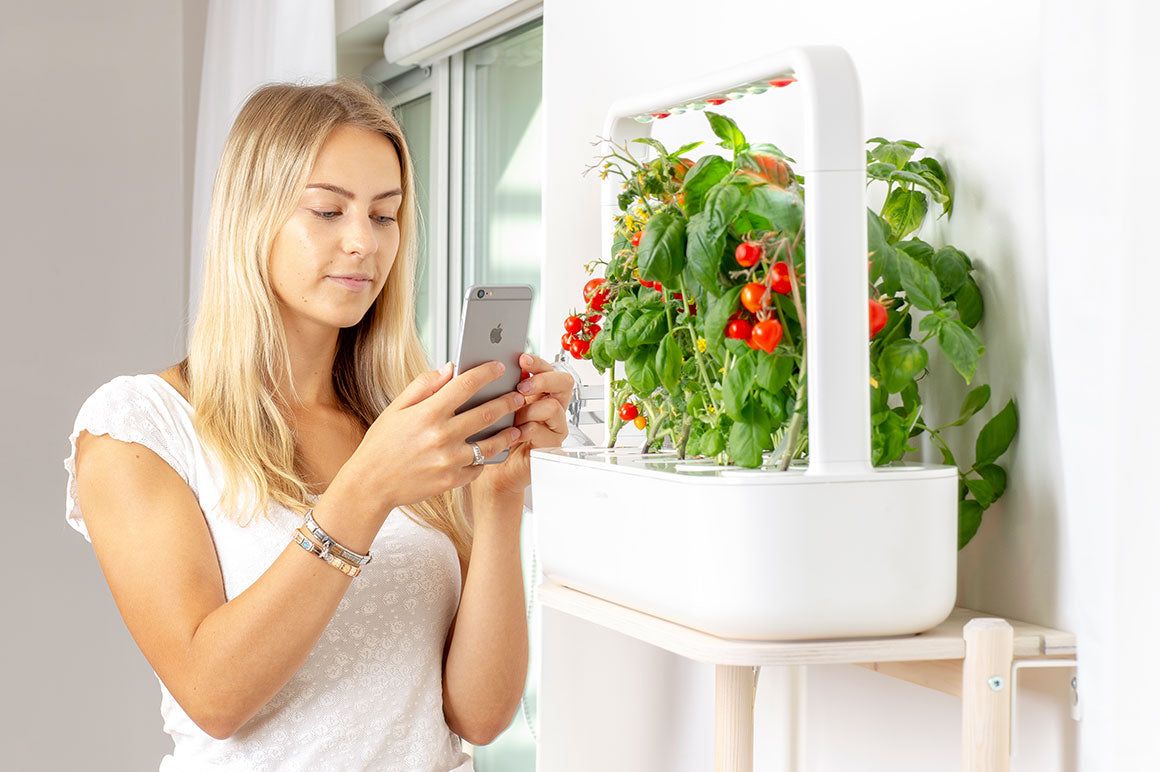 Plant care app to be better gardener