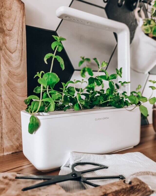 Click Grow Smart Garden Plant Stand Click Grow UK