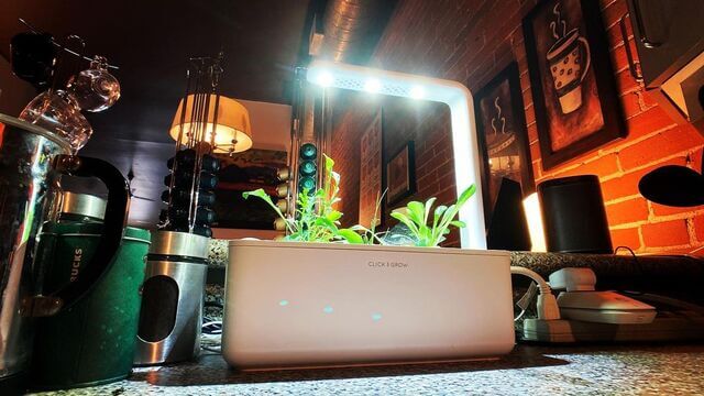 Smart Garden 9 Float Click Grow UK