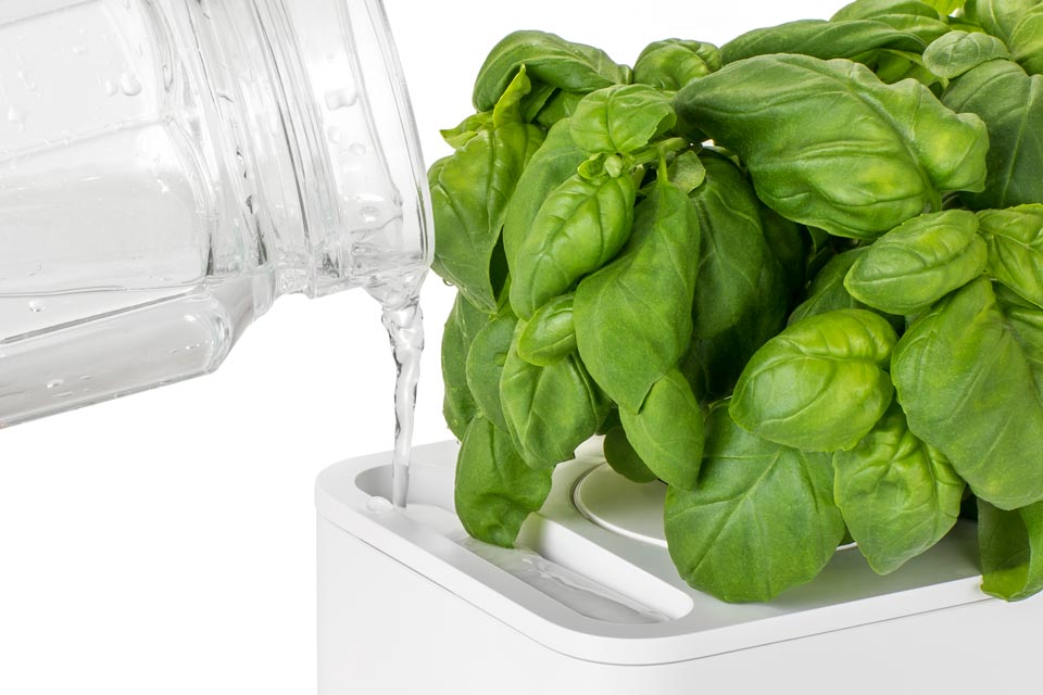 The Ultimate Smart Indoor Garden Click Grow Click Grow UK