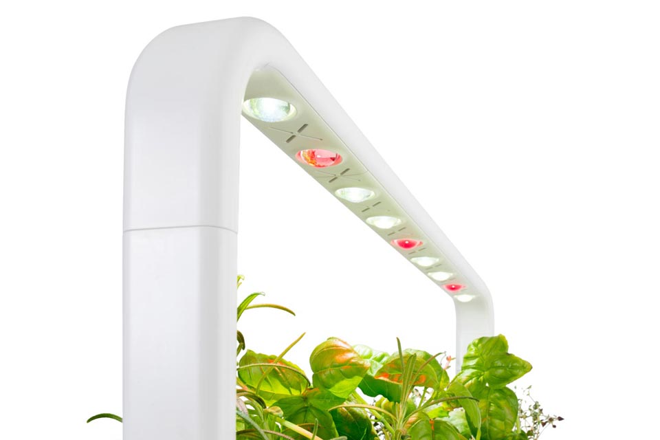 Professional grow light with built-in timer